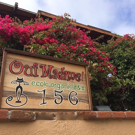 B&B Oui Madame Tijuana Dış mekan fotoğraf