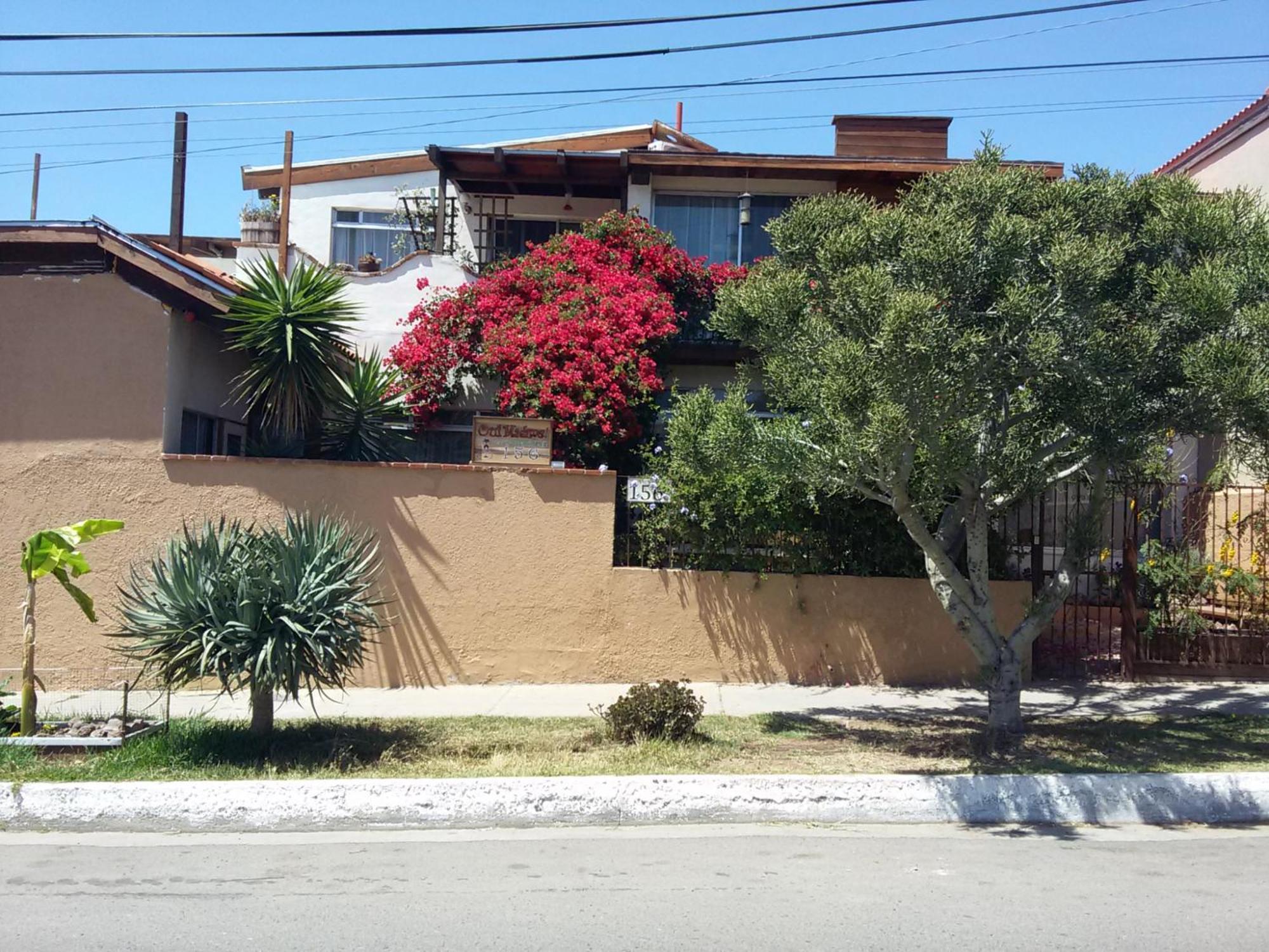 B&B Oui Madame Tijuana Dış mekan fotoğraf