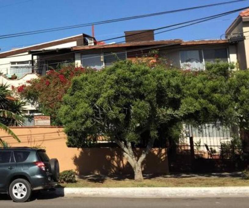 B&B Oui Madame Tijuana Oda fotoğraf