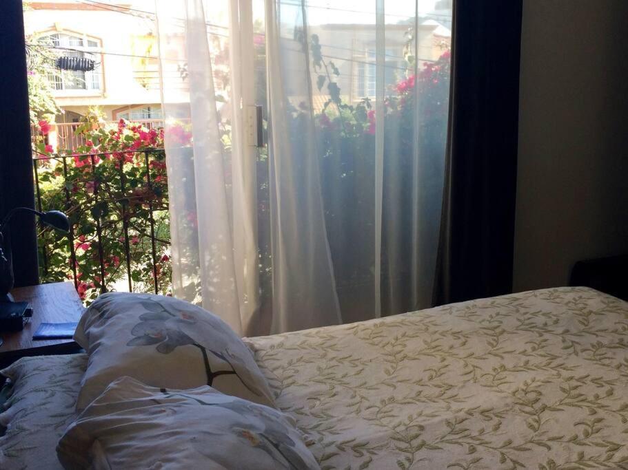 B&B Oui Madame Tijuana Oda fotoğraf
