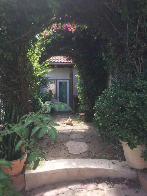 B&B Oui Madame Tijuana Oda fotoğraf