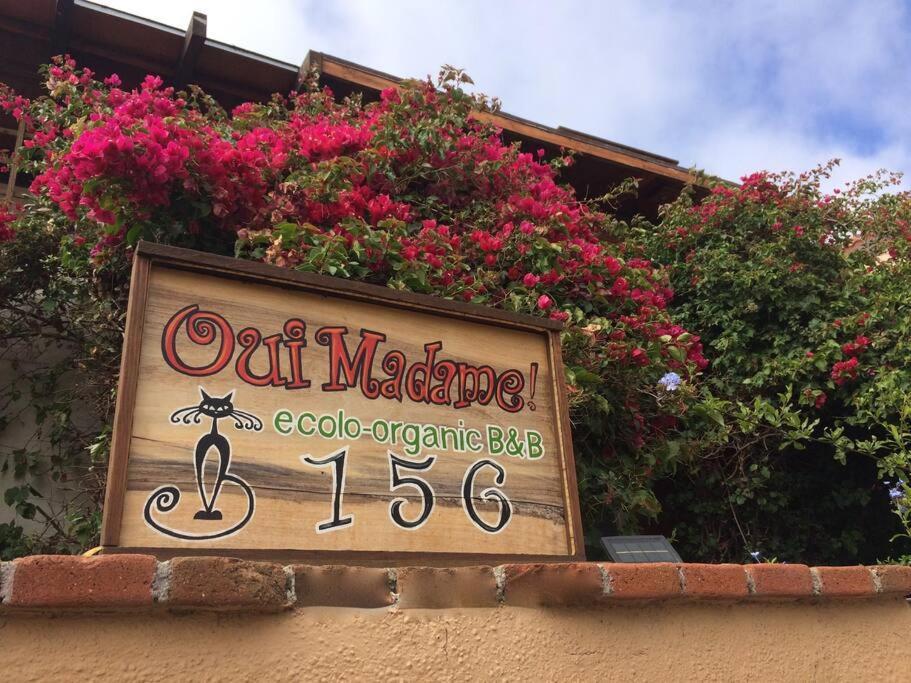 B&B Oui Madame Tijuana Oda fotoğraf